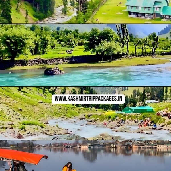 cheapest tour packages for kashmir