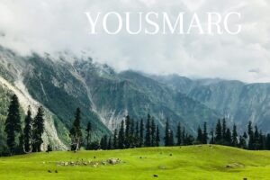 package trip to kashmir