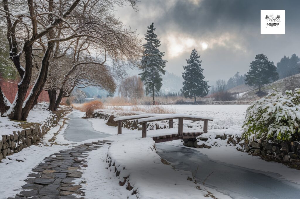 Kashmir's Winter Beauty