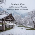 Paradise in White A 7 Day Journey Through Kashmir's Winter Wonderland