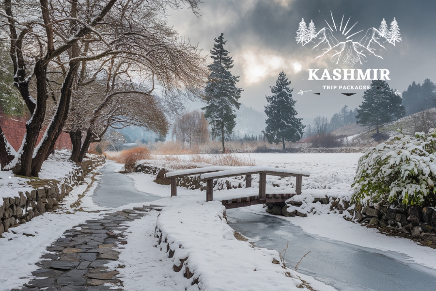 Planning Your Kashmir Tour