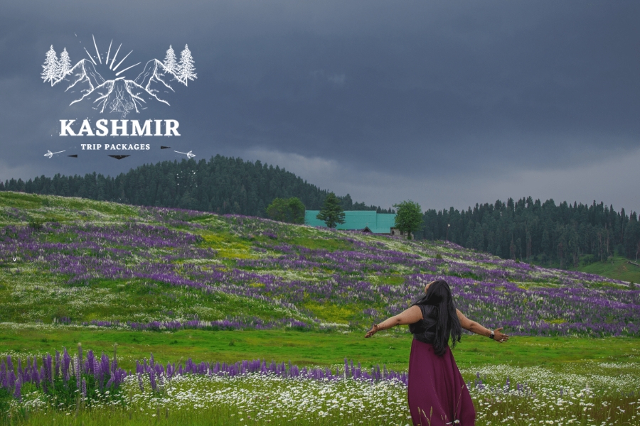 Top Romantic Experiences to Enjoy in Kashmir